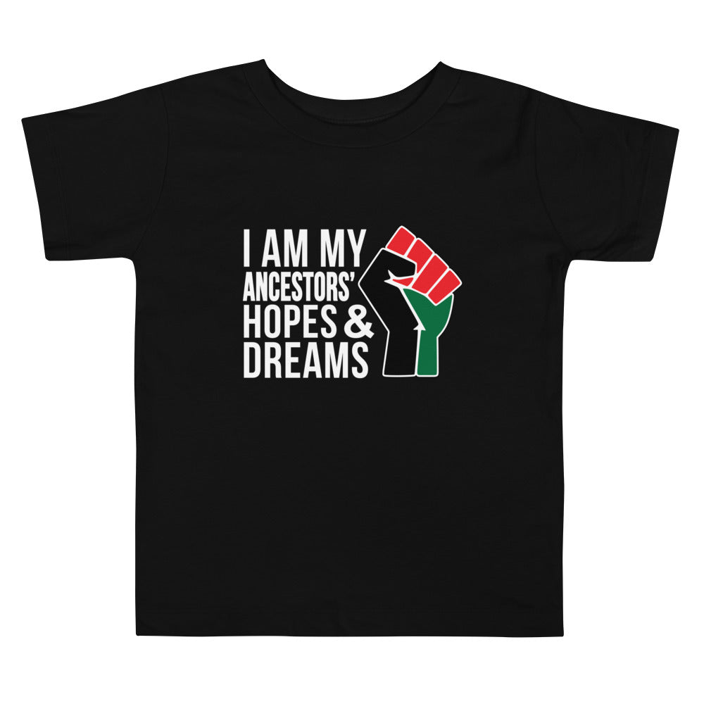 Ancestors Hopes & Dreams Toddler T-Shirt